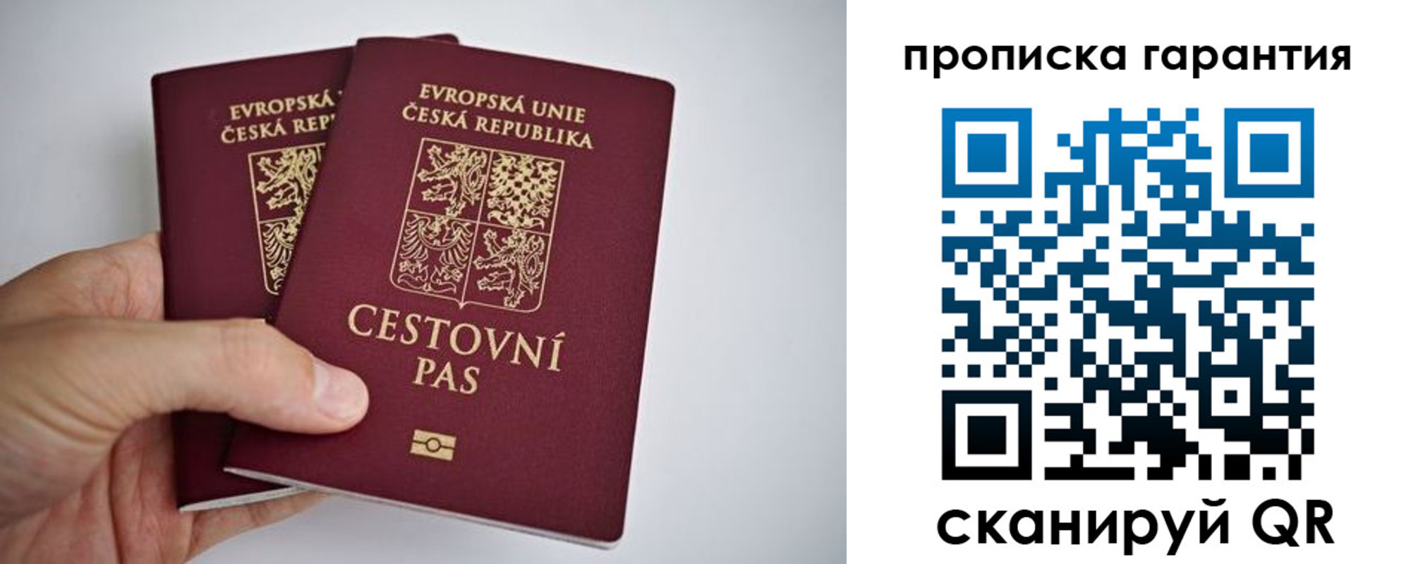 прописка в Элисте